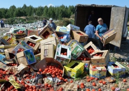 На полигоне в России уничтожили 20 тонн томатов, завезенных казахстанцами