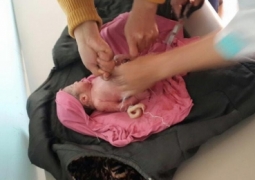 В Карагандинской области новорожденного ребенка нашли в контейнере