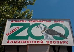 Общественный совет создали при Алматинском зоопарке
