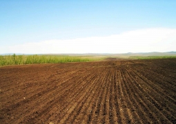 Власти Казахстана возвращают 12,3 тыс. га земель, арендованных иностранными компаниями
