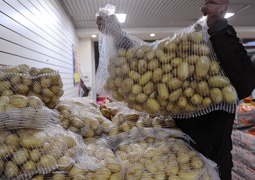 Казахстан снимает запрет на ввоз кыргызского картофеля