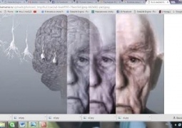 Болезнь Альцгеймера как бонус к долголетию