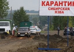 В Карагандинском селе объявлен карантин в связи с "сибирской язвой"