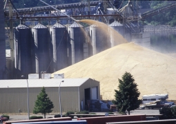 Нурсултан Назарбаев призывал Россию сотрудничать в области экспорта зерна
