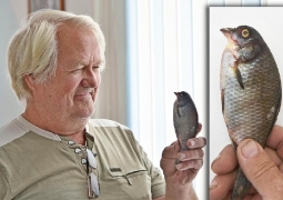 Житель Костаная выловил рыбу с клювом
