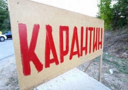 В селе Павлодарской области объявлен карантин по сибирской язве