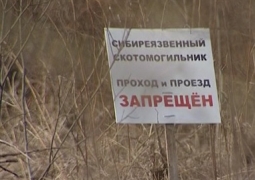 МСХ: Точное месторасположение 714 захоронений с сибирской язвой неизвестно