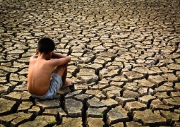 50 тыс. долларов направит Казахстан для борьбы с засухой в Эфиопии