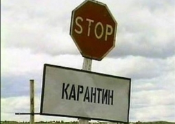 В Павлодарской области снят карантин по сибирской язве