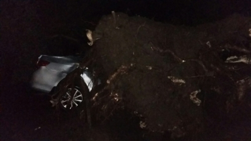 Ураган в Усть-Каменогорске: травмированы два человека, повреждены 36 автомобилей