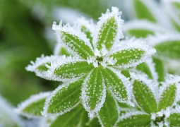 До 3 градусов мороза ожидается в Карагандинской области
