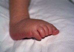 Четырехногий малыш умер в Актобе