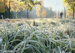 Заморозки ожидаются в ближайшие сутки в Акмолинской области