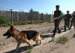 Узбекистан увеличил число силовиков на границе, - погранслужба Кыргызстана