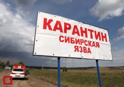 После вспышки сибирской язвы в Карагандинской области уволили трех чиновников