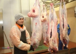 Из-за запрета ввоза мяса в Россию полгода простаивал завод в ЗКО