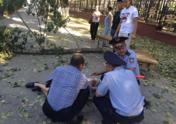 Дерево упало на студентку в Алматы