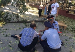В тяжелом состоянии находится девушка, на которую упало дерево возле КазНУ