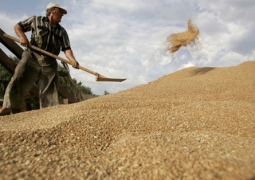 Миллион тонн зерна экспортировал Казахстан 