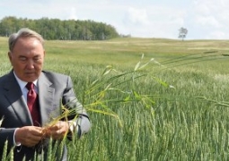 Нурсултан Назарбаев призвал повысить качество сельхозпродукции