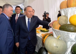 Нурсултан Назарбаев посетил сельскохозяйственный комплекс  ТОО «Арго» в Павлодарской области