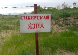 Установлены еще 224 места захоронения сибирской язвы, - МСХ