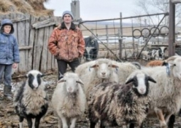 Омский фермер устроил настоящую войну многодетному переселенцу из Казахстана