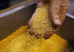 До 2 тонн иранского золота планирует переработать Казахстан в 2017 году