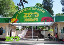 Алматинский зоопарк опубликовал список умирающих животных