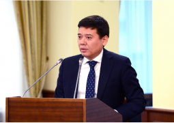 Правительство Казахстана внесет  33 законопроекта в Парламент в 2017 году