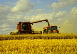 В Казахстане завершилась уборка урожая