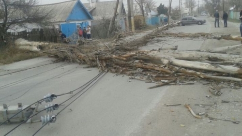 О ходе ликвидации последствий урагана в Таразе доложил аким Жамбылской области