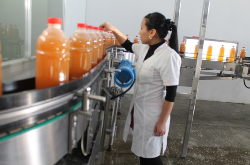 20 тыс. литров напитков ежедневно производит южно-казахстанская компания «Рауан»