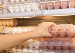 Власти СКО заключили меморандум с поставщиками яиц