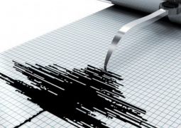 Зафиксировано землетрясение в 486 км от Алматы