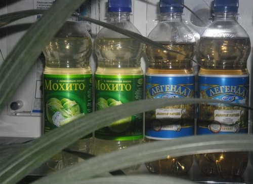 12 тысяч бутылок в час выпускают на южно-казахстанском заводе безалкогольных напитков