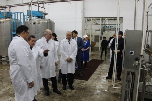 В СКО запустили молочный завод