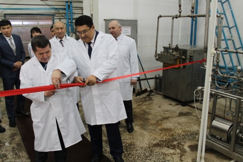 В СКО запустили молочный завод