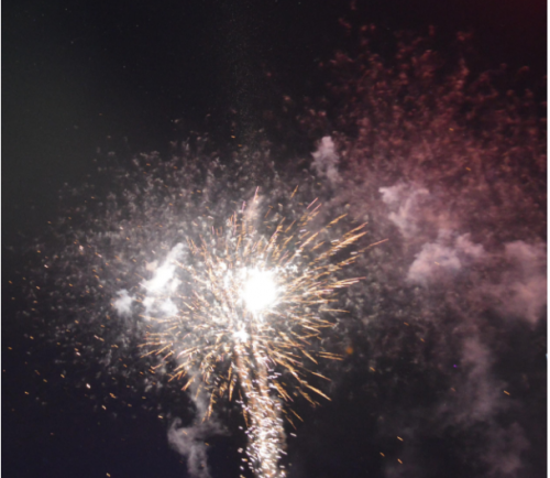 300 тысяч огней зажгли на главной новогодней елке Казахстана