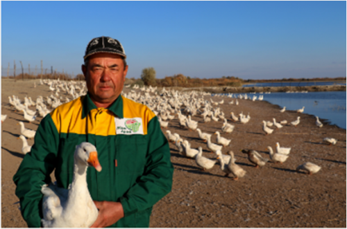 Строительство птицефабрики в Кармакшинском районе начнут в этом году 