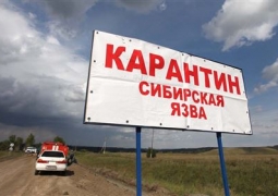 В Павлодаре вынесли приговор виновным во вспышке сибирской язвы