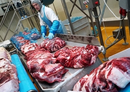 Казахстан планирует экспортировать в Египет 5 тысяч тонн баранины в год