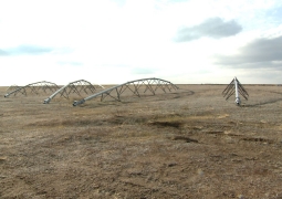 В Кызылординской области приступили к изъятию неиспользуемых земель