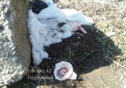 В ЮКО полицейские разыскивают мать брошенной на улице новорожденной