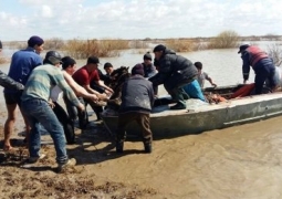 В Кызылординской области из-за разлива Сырдарьи эвакуируют людей и скот