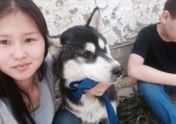 Хаски мучительно погиб в автомобиле сотрудника Центра ветеринарии в Алматы
