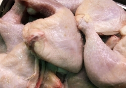В Казахстане может в 2 раза сократиться производство курятины и яиц 