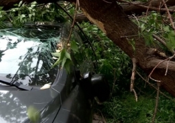 В Акмолинской области ураган сорвал кровли зданий, пострадала женщина