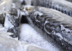 ЕАЭС: Покупатели перестанут платить за лед в замороженной рыбе