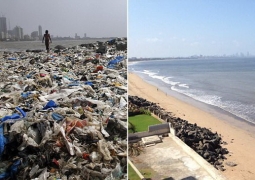 «Чемпион Земли»: как обычный человек очистил целый пляж от мусора (ВИДЕО)